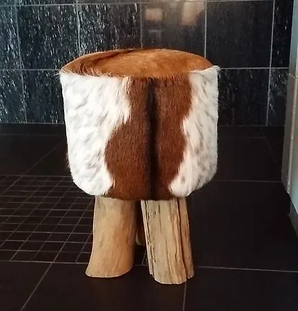 Aelgen Villa Bambole